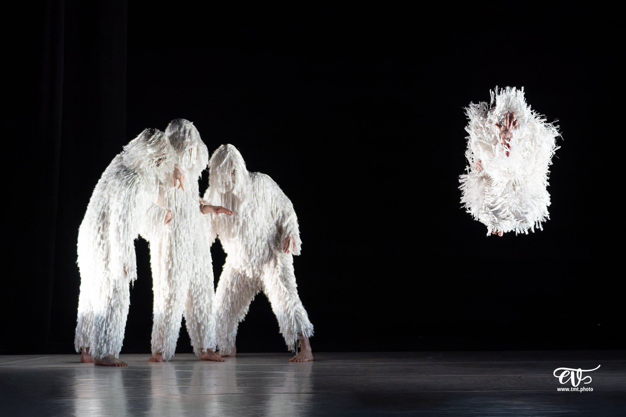 A4 (COMME LA FEUILLE) CIE CHICOS MAMBO